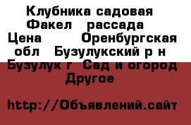 Клубника садовая “Факел“ (рассада) › Цена ­ 50 - Оренбургская обл., Бузулукский р-н, Бузулук г. Сад и огород » Другое   